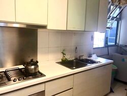 Oasis @ Elias (D18), Condominium #568659621